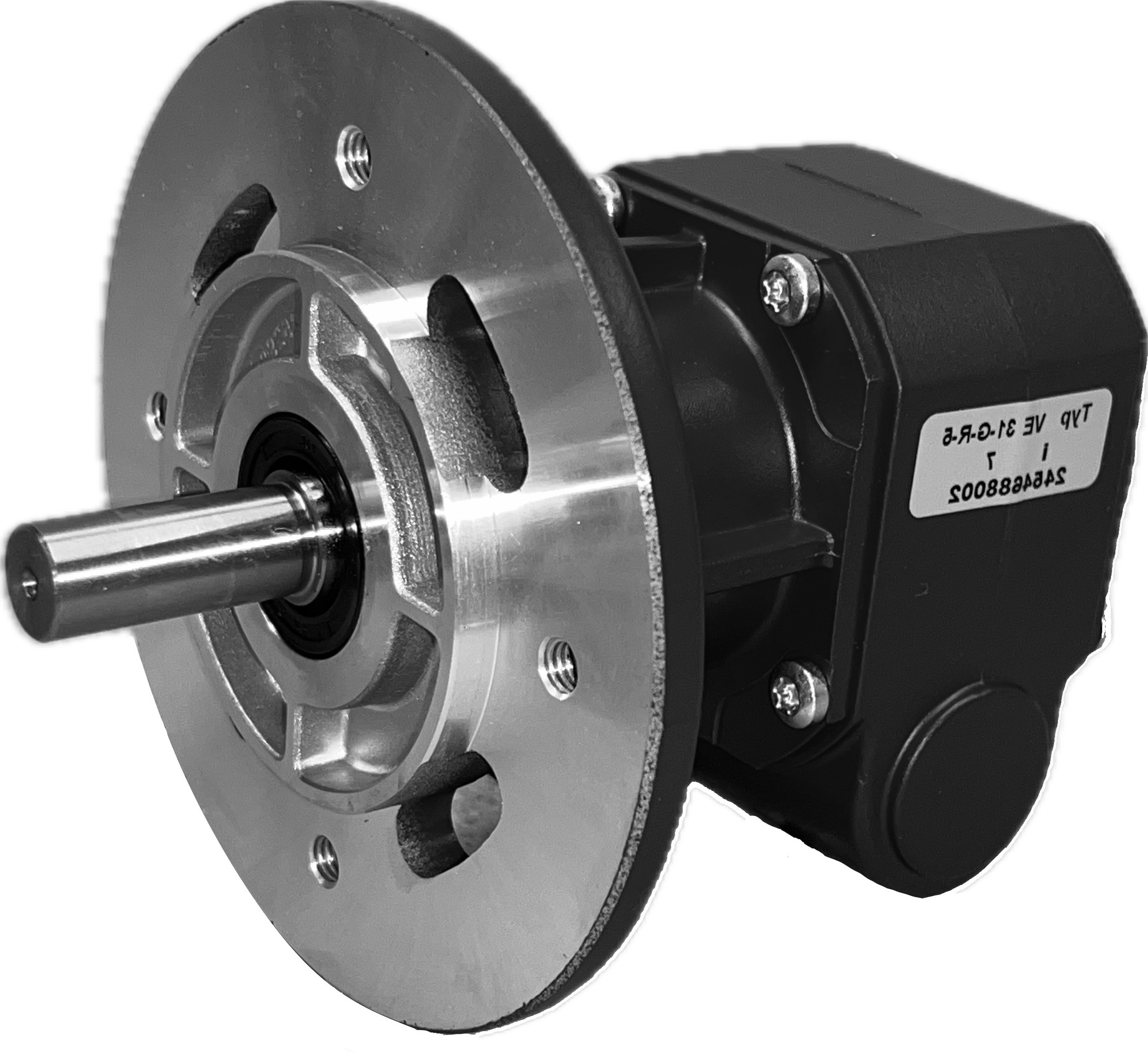 ve31-g-l-5.jpg